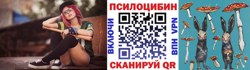 Галлюциногенные грибы Psilocybine cubensis  закладки  Пестово 